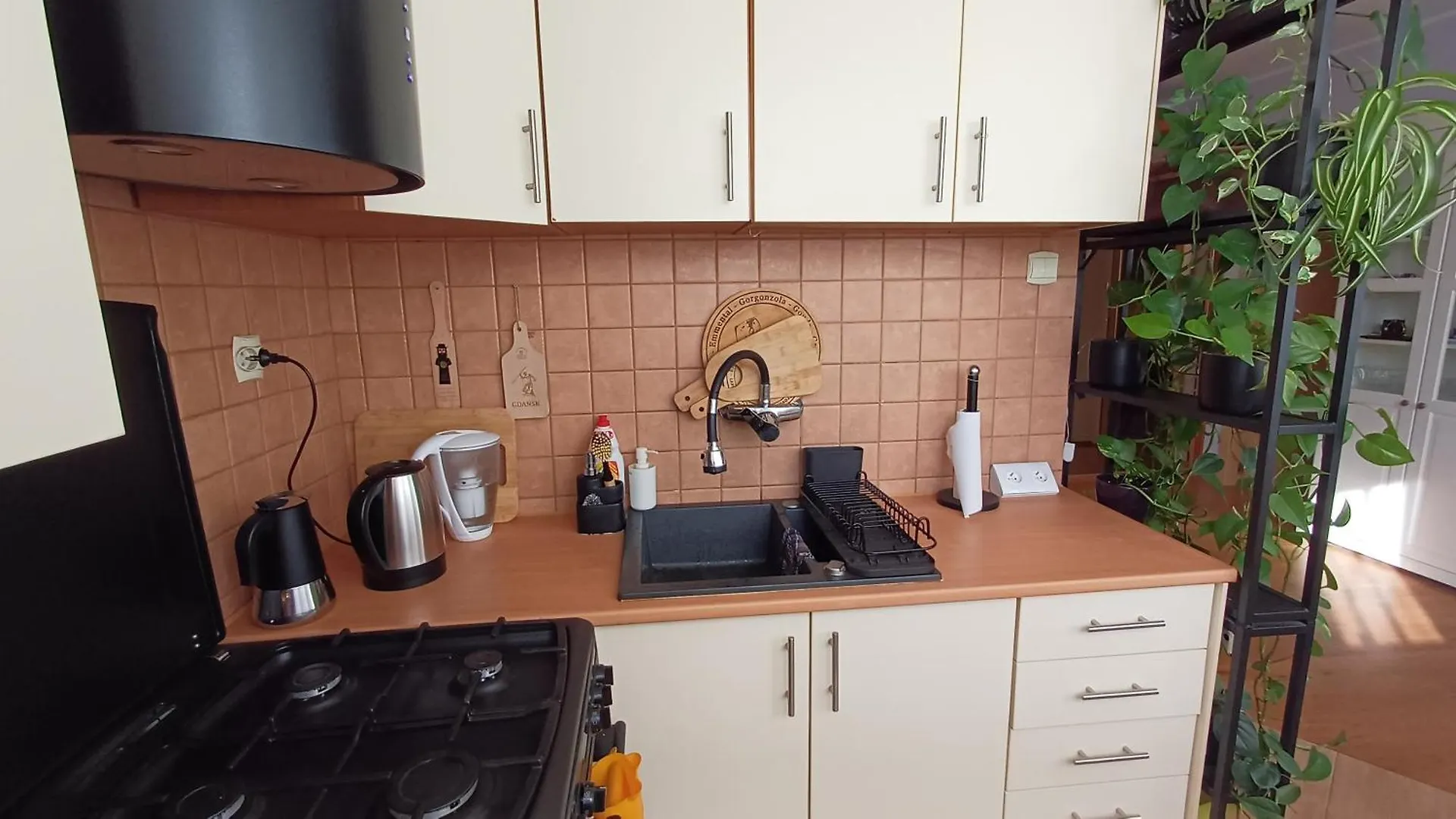 Rajska Apartament- Γκντανσκ